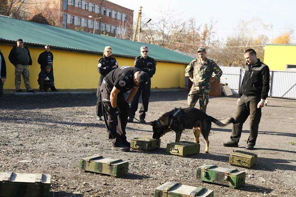 Хмельниччину назвали кінологічною столицею України