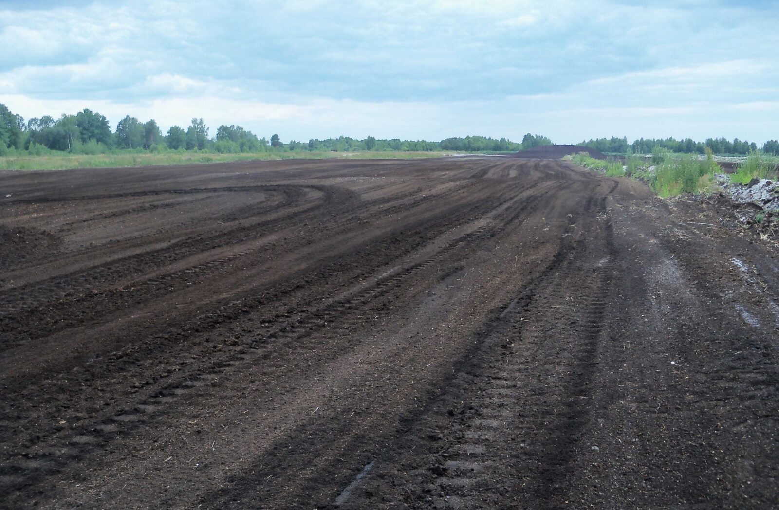 У Хмельницькому районі в орендаря забрали 38 гектарів землі