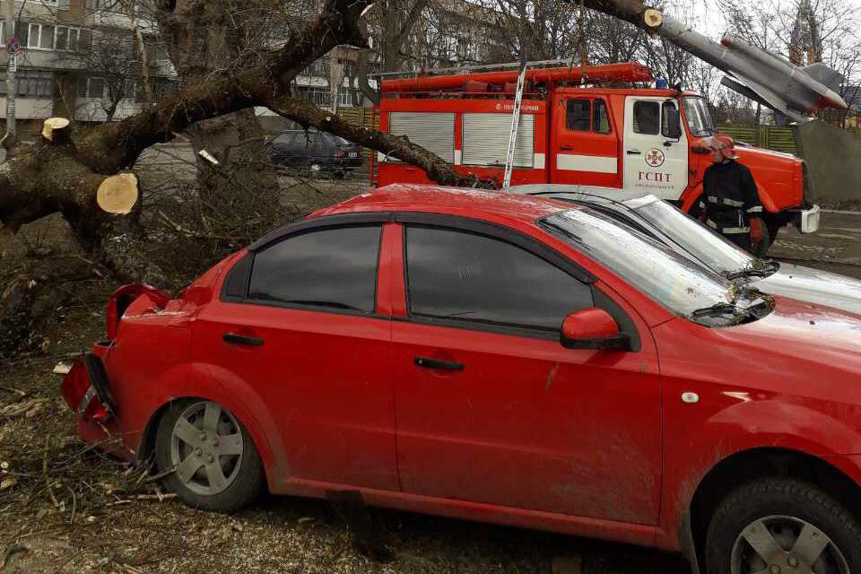 Дерево розтрощило два автомобілі у Хмельницькому