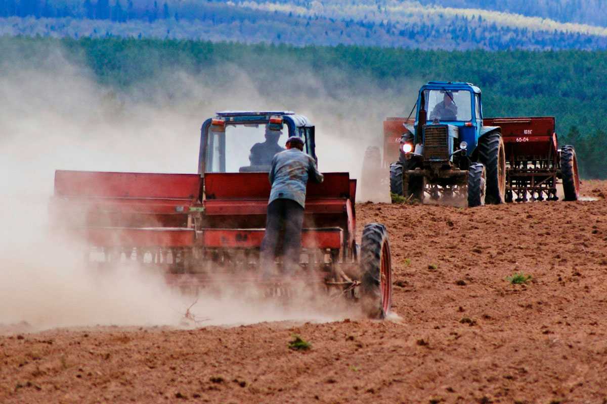 В області стартувала посівна кампанія