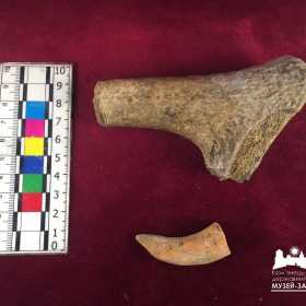 На березі Дністра археологи виявили нові знахідки