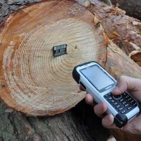 Лісгосп на Хмельниччині запроваджує електронний облік деревини