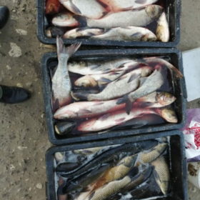 На Хмельниччині рибоохоронці вилучили майже 400 кг риби