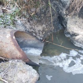Екологи перевіряють дві річки на Хмельниччині через кризовий рівень води