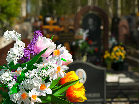 Flowers and cemetery on background