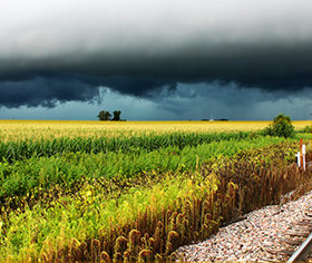 Thunderstorm over railroad tracks and corn fields of northern Illinois.