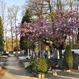 Small cemetery in spring