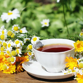 Cup of herbal tea with chamomile and calendula flowers