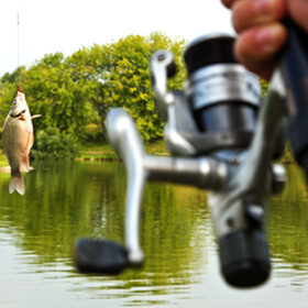 fish caught on a hook on the background of the lake