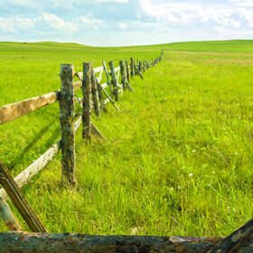 view of old wooden fence in rural area. Linear perspective of fence running through a field on a summer's day