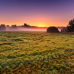 Morning foggy meadow in polish countryside. Beautiful sunrise on wild meadow