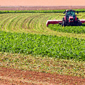 Farmer harvesting the green tops off his sugar beet crop for cattle feed. He comes in later with different equipment and harvest the remainder of the plant from out of the ground.