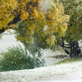 Early snowstorm in the autumn park