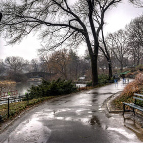 Central Park, New York City om winter after rain storm