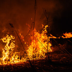burning grass in a field at night in spring
