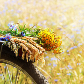 A boquet of summer wildflowers and wheat on a bike and summer field background