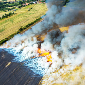 Big fire on the large wheat field