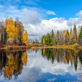 Nice autumn landscape with forest lake