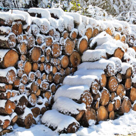 дрова на зиму