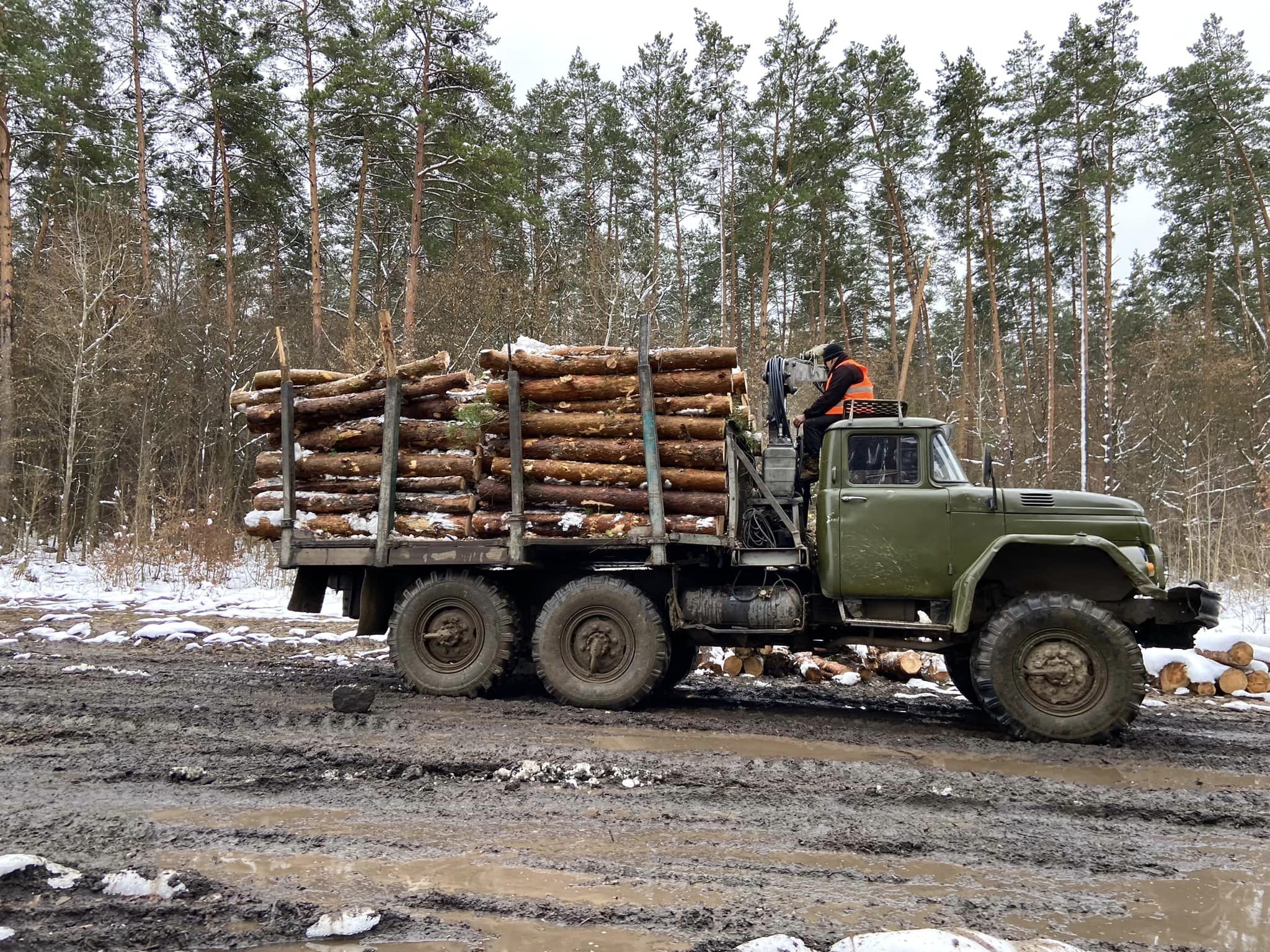 Лісівники Хмельниччини продали населенню 25 тисяч вантажівок дров