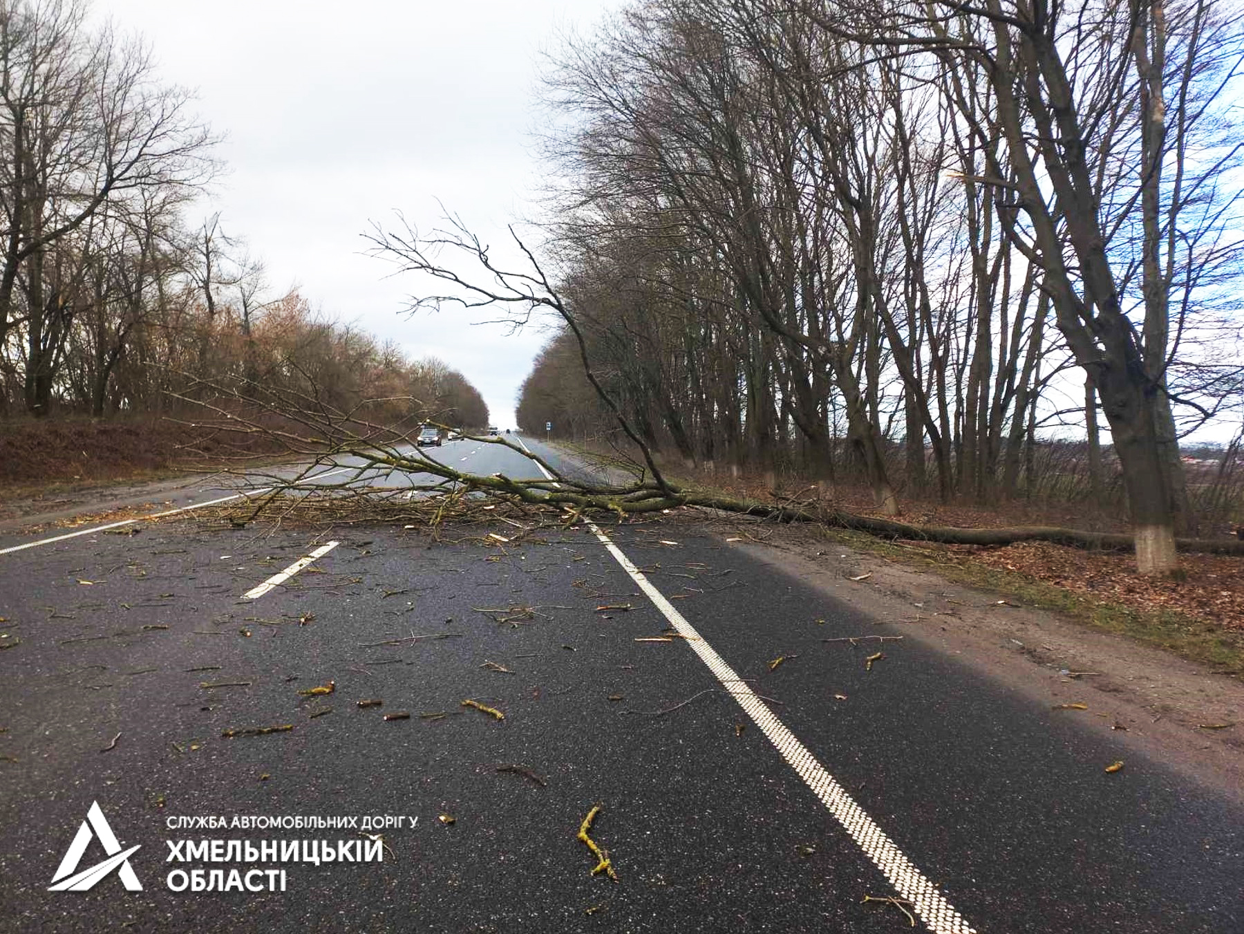 Повалені буревієм дерева на дорогах Хмельниччини прибирали шляховики (ФОТО)