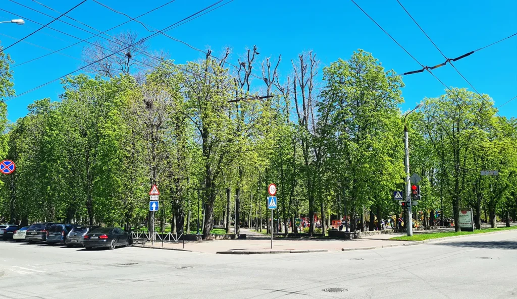 сквер Шевченка Хмельницький