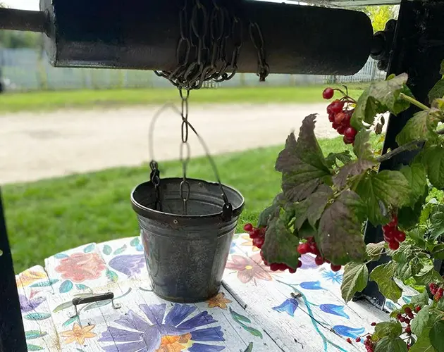 Води з криниці, якій 700 років, можна напитися на Кам’янеччині (ФОТО)