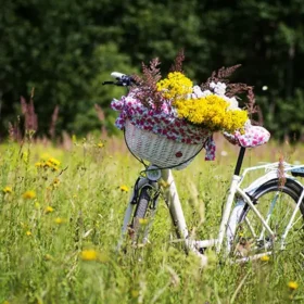велосипед і квіти