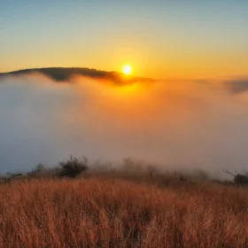 туман природа схід сонця