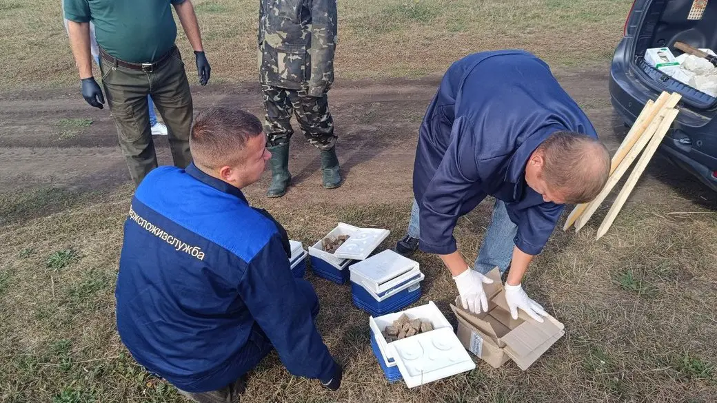 На Хмельниччині розпочали вакцинацію диких тварин від сказу