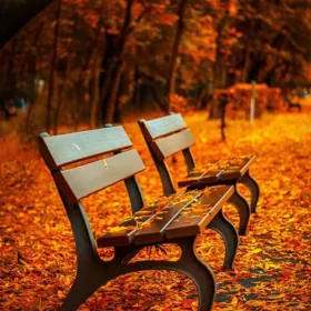осінь в парку