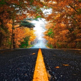 дорога осінь
