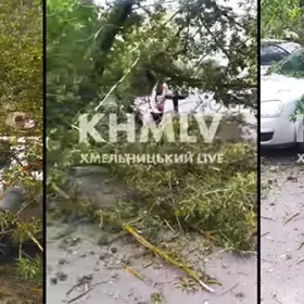 аварійне дерево впало на автомобілі