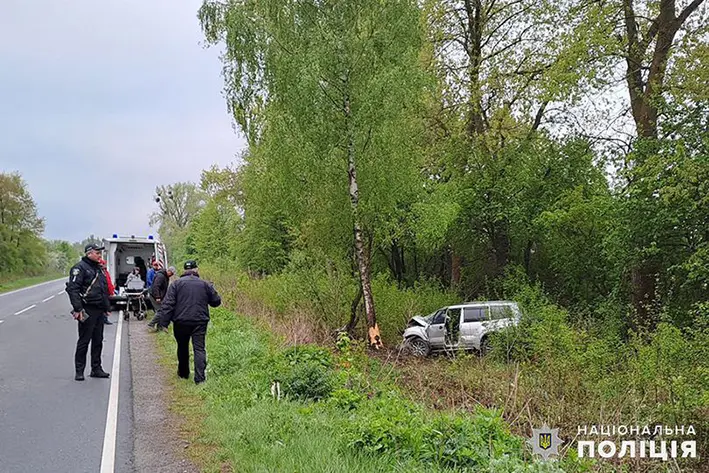 ДТП у Хмельницькому районі: авто з’їхало у кювет, водій загинув