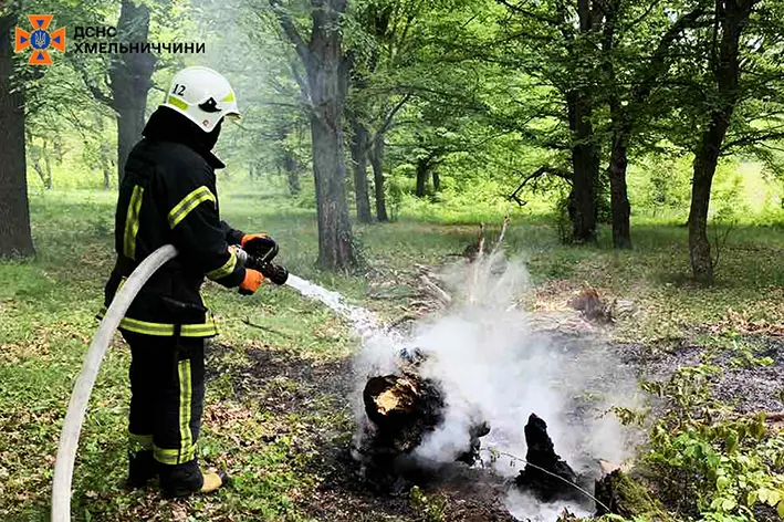 Пожежі в екосистемі тричі за добу гасили на Хмельниччині