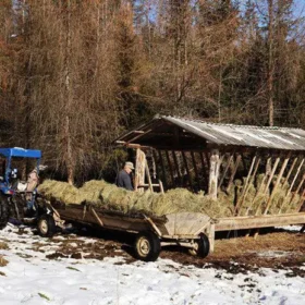 годівниці для тварин