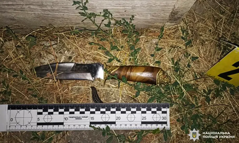 На Кам’янеччині засудили чоловіка, який вчинив замах на вбивство сусіда