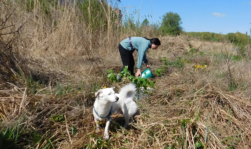 На березі Південного Бугу хмельничани висадили молоді дерева (ФОТО)