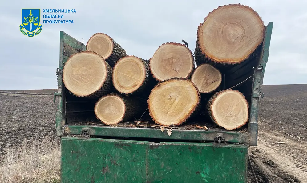 На Хмельниччині викрили лісничого, який намагався привласнити деревину на майже 400 тисяч гривень
