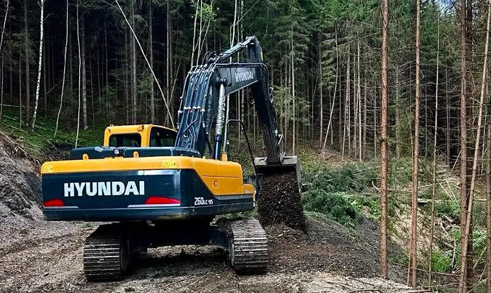 Нову лісову дорогу протяжністю понад 3 кілометри збудують на Хмельниччині