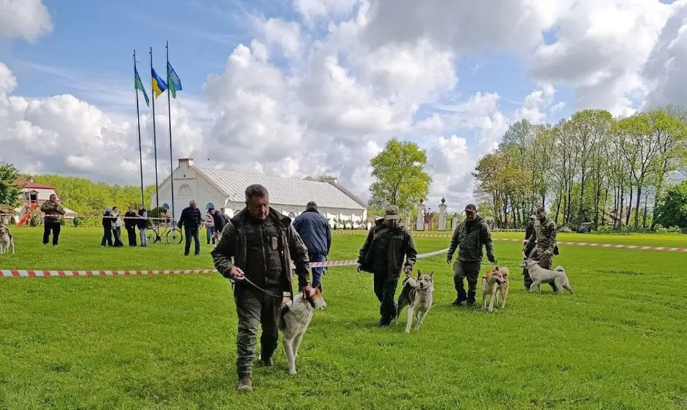 Виставка мисливських собак відбулася на Хмельниччині