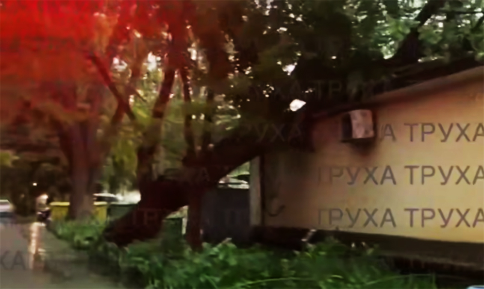 У Хмельницькому під час зливи повалило декілька дерев (ВІДЕО)