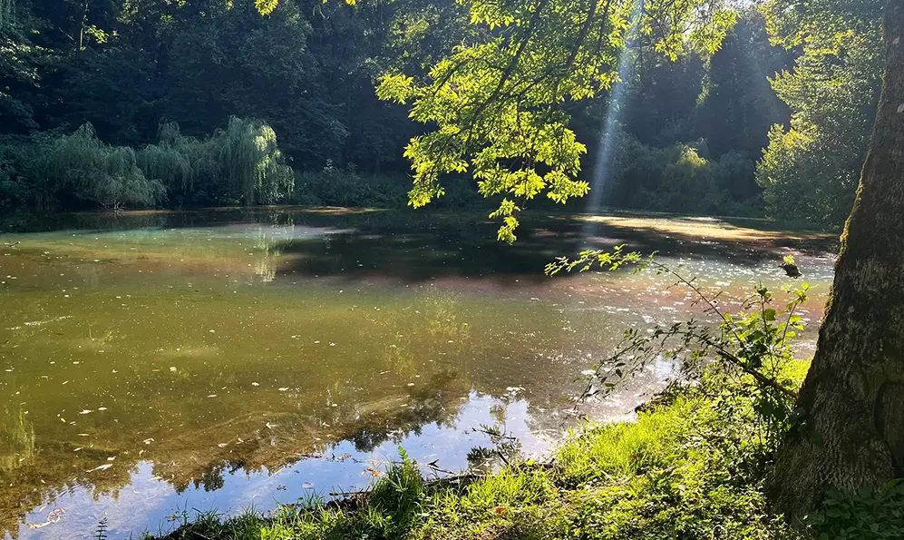 У музеї-маєтку на Хмельниччині невідомі зіпсували водойму (ФОТО)