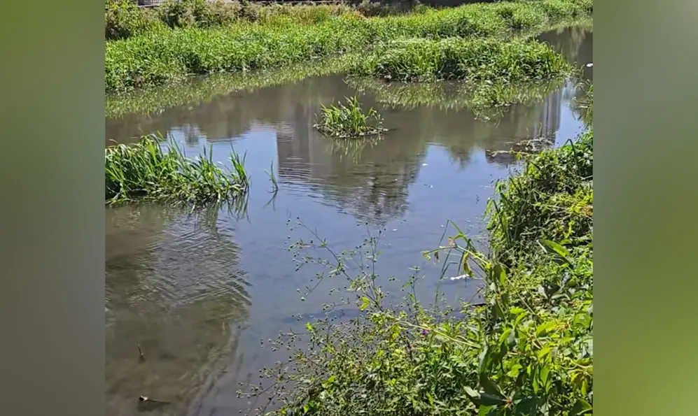 У річці в Хмельницькому, в якій масово загинула риба, очистилася вода (ВІДЕО)