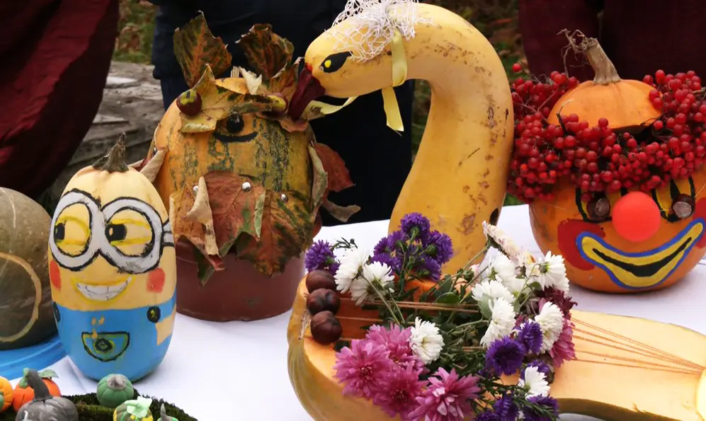 Фестиваль гарбузів відбувся у селі на Хмельниччині