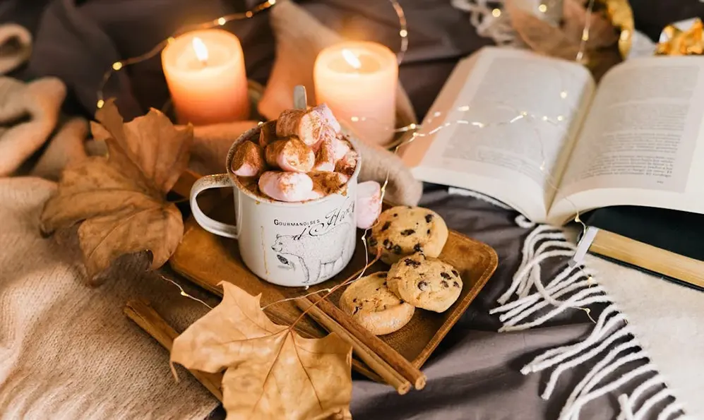 Походження какао: шлях від зерна до чашки