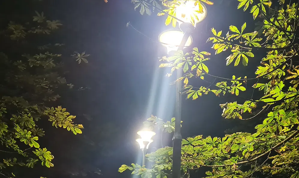 Погода на Хмельниччині 3-9 листопада: тепло і трохи дощу