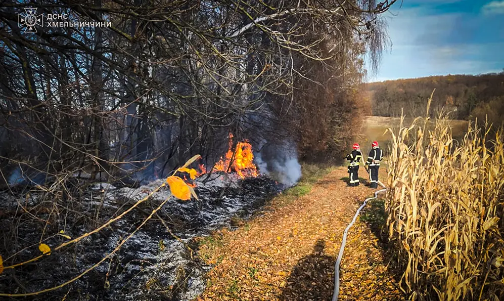 На Хмельниччині почався «сезон підпалів»: вогонь ледь не знищив поле кукурудзи