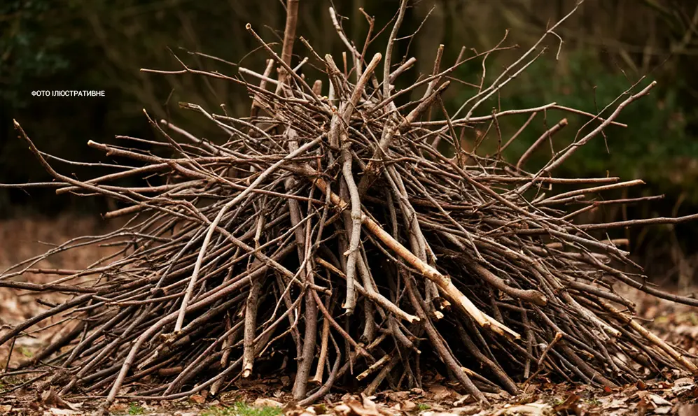 Графік вивезення гілля з приватних домоволодінь у Хмельницькому у листопаді