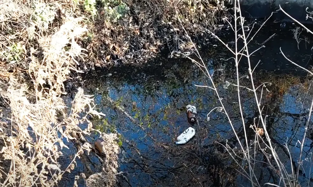 Ще два джерела забруднення Південного Бугу виявили у Хмельницькому активісти (ВІДЕО)